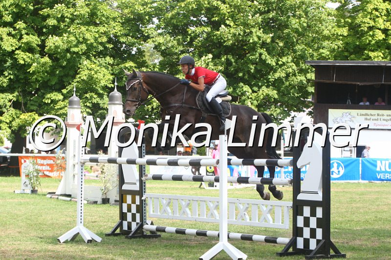 308M3240_JackPot_Spring Sx.JPG